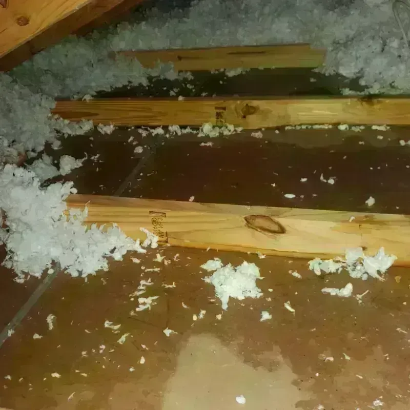 Attic Water Damage in Lebanon, NH