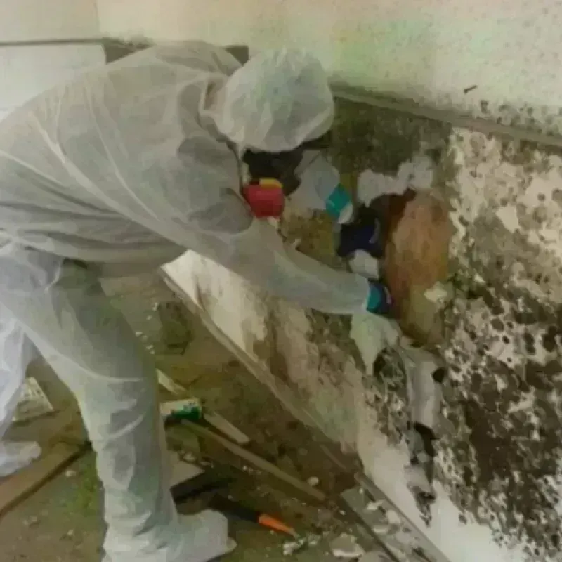 Mold Remediation and Removal in Lebanon, NH